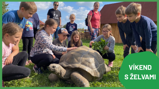 VÍKEND S ŽELVAMI OBROVSKÝMI V ZOOPARKU 25.-26.7.
