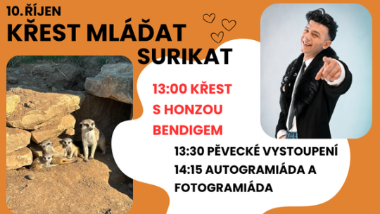SLAVNOSTNÍ KŘEST MLÁĎAT SURIKAT S HONZOU BENDIGEM