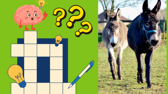 STEZKA PLNÁ HÁDANEK