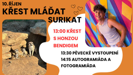 SLAVNOSTNÍ KŘEST MLÁĎAT SURIKAT S HONZOU BENDIGEM
