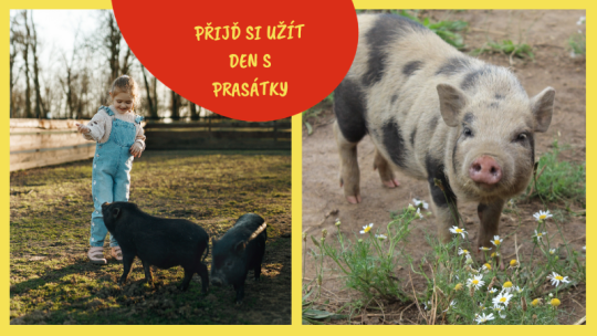 DEN PRASÁTEK V ZOOPARKU ZELČÍN