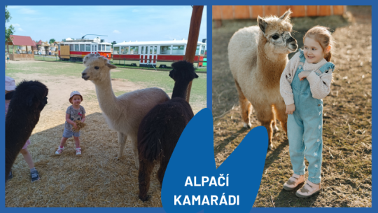 VÍKEND S ALPAKAMI V ZOOPARKU 22.-23.8.