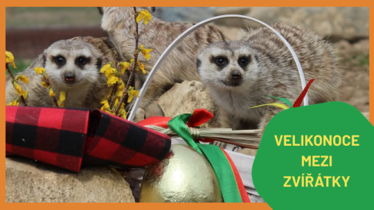 VELIKONOCE V ZOOPARKU ZELČÍN OD 2.-6.4.