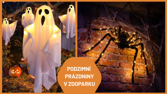 PODZIMNÍ PRÁZDNINY V ZOOPARKU ZELČÍN
