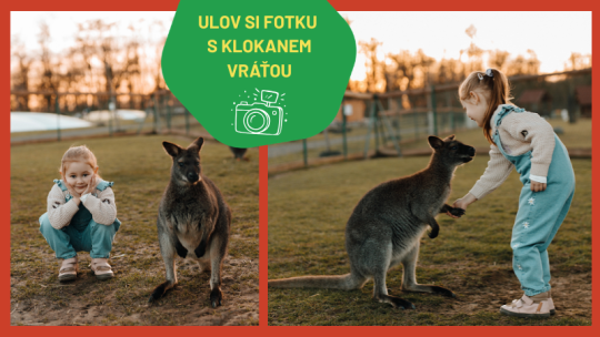 DEN S KLOKANY V ZOOPARKU ZELČÍN