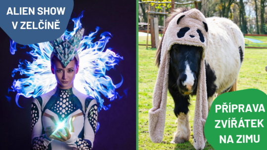 PŘÍPRAVA ZVÍŘÁTEK NA ZIMU + ALIEN SVĚTELNÁ SHOW
