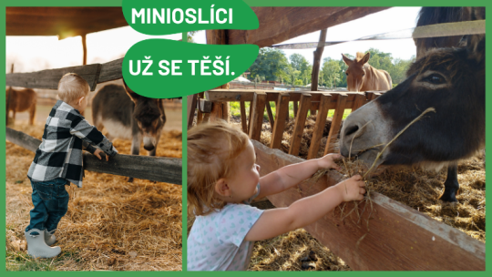 VÍKEND S MINIOSLÍKY V ZOOPARKU 8.-9.8.