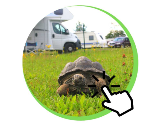 Kemping v zooparku