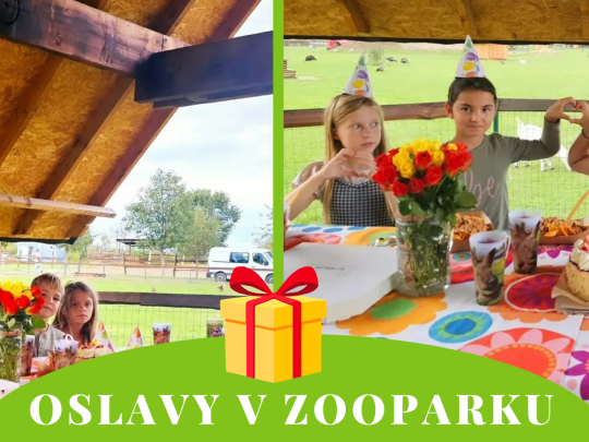 OSLAVA V ZOOPARKU BEZ PROGRAMU