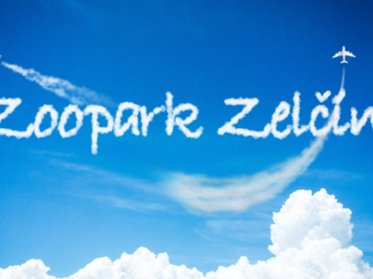 Soutěž pro školy a školky: TŘÍDNÍ VÝLET DO ZOOPARKU ZDARMA