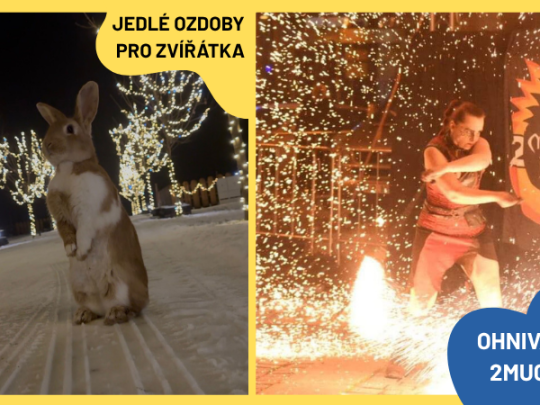 ZIMNÍ TVOŘENÍ PRO ZVÍŘÁTKA + OHNIVÁ SHOW V ZOOPARKU