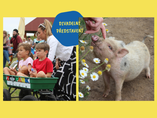 DIVADELNÍ PŘEDSTAVENÍ + PRASÁTKOVA DOBRODRUŽNÁ VÝPRAVA