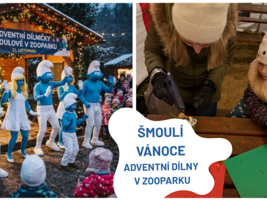 ADVENTNÍ DÍLNIČKY + ŠMOULOVÉ V ZOOPARKU ZELČÍN