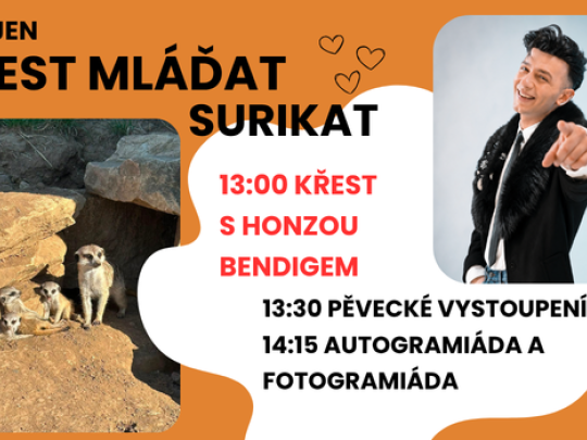 SLAVNOSTNÍ KŘEST MLÁĎAT SURIKAT S HONZOU BENDIGEM