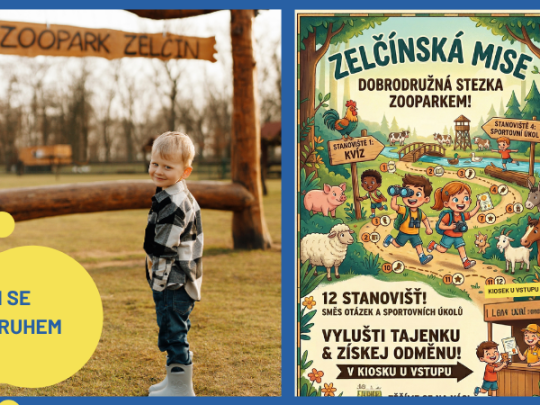 ZELČÍNSKÁ KLOKANÍ MISE: Staň se hrdinou našeho zooparku!