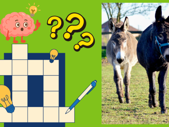 STEZKA PLNÁ HÁDANEK