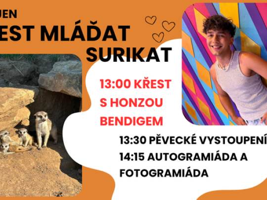 SLAVNOSTNÍ KŘEST MLÁĎAT SURIKAT S HONZOU BENDIGEM