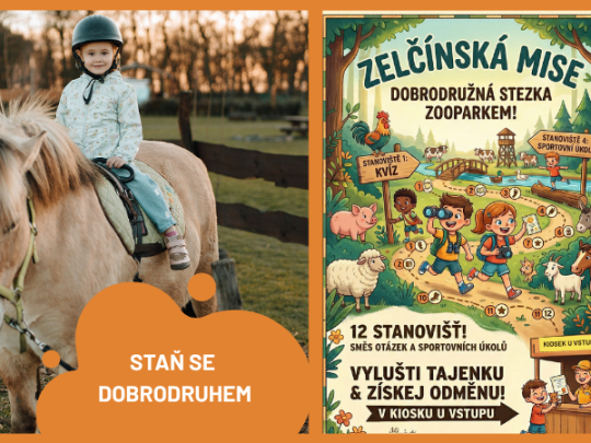 ZELČÍNSKÁ MISE - Staň se dobrodruhem