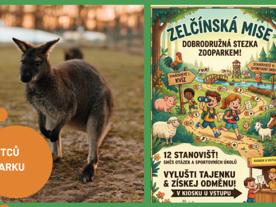 DEN OTCŮ - PO STOPÁCH ZVÍŘECÍCH TATÍNKŮ