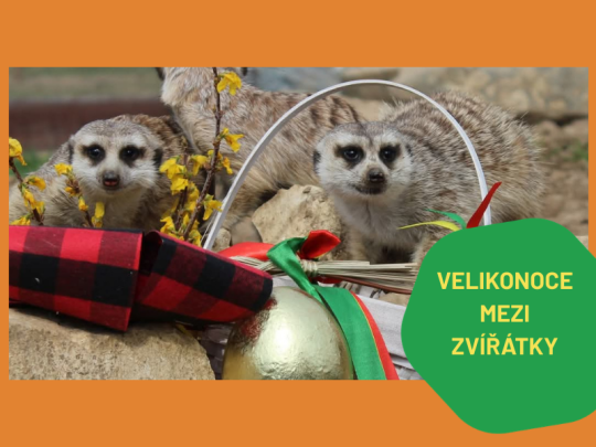 VELIKONOCE V ZOOPARKU ZELČÍN OD 2.-6.4.