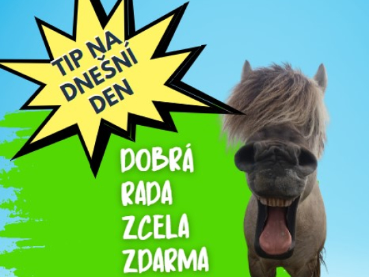 TIP na dnešní den - Dobrá rada zcela zdarma