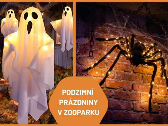 PODZIMNÍ PRÁZDNINY V ZOOPARKU ZELČÍN