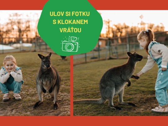 DEN S KLOKANY V ZOOPARKU ZELČÍN