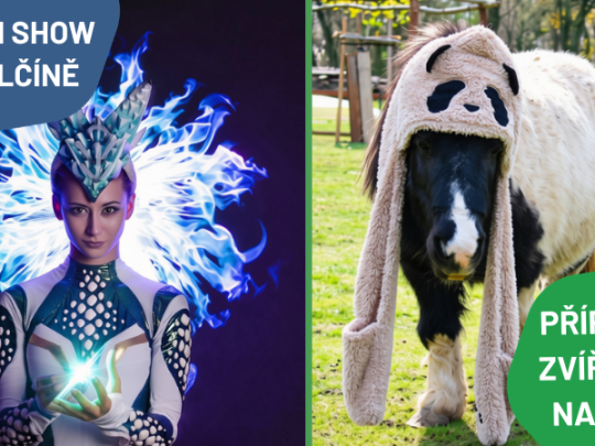 PŘÍPRAVA ZVÍŘÁTEK NA ZIMU + ALIEN SVĚTELNÁ SHOW