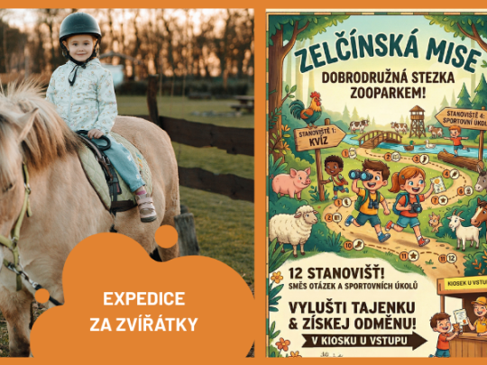 ZELČÍNSKÁ MISE - Expedice za zvířátky
