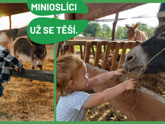 DEN MINIOSLÍKŮ V ZOOPARKU ZELČÍN