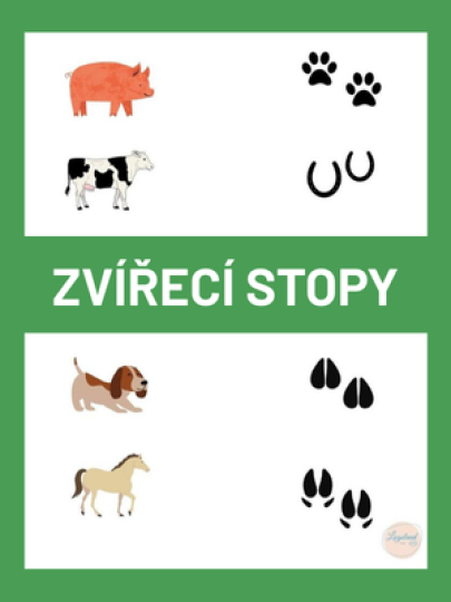 Zvířecí stopy