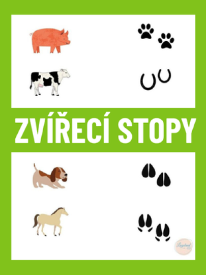Zvířecí stopy