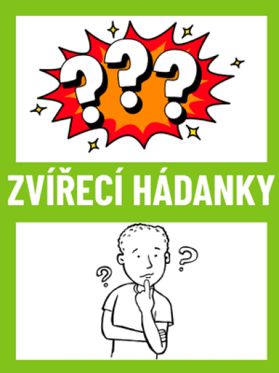 Zvířecí hádanky