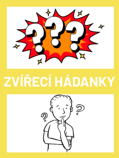 Zvířecí hádanky