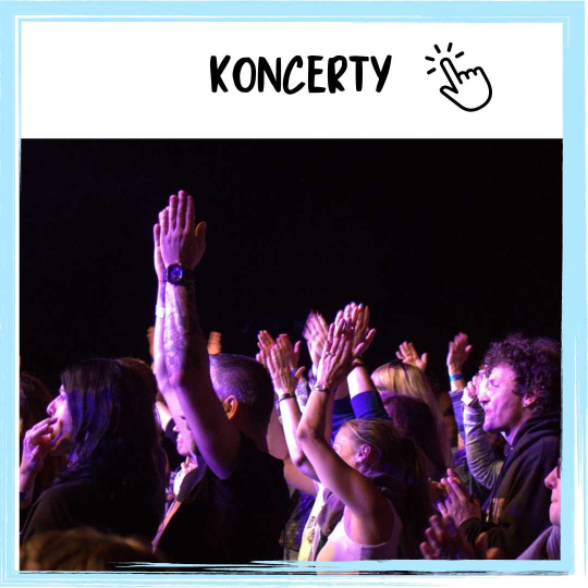 KONCERTY