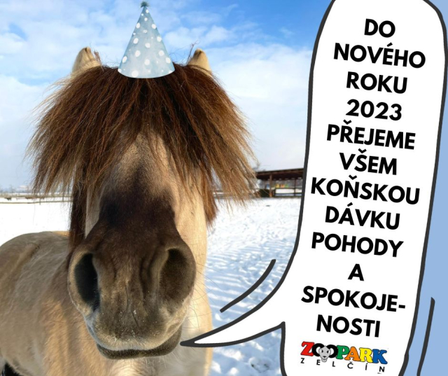 1d069619-pf-2023.jpeg