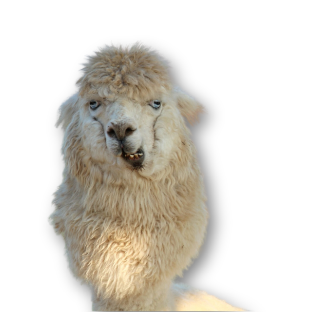 65c3d5b2-zoopark-1.png