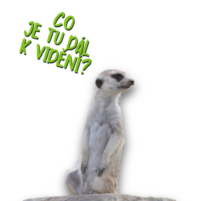 8dfabbee-aktivity-v-zooparku.jpeg