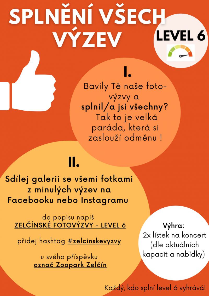 22515191-zelcinske-fotovyzvy-2.png
