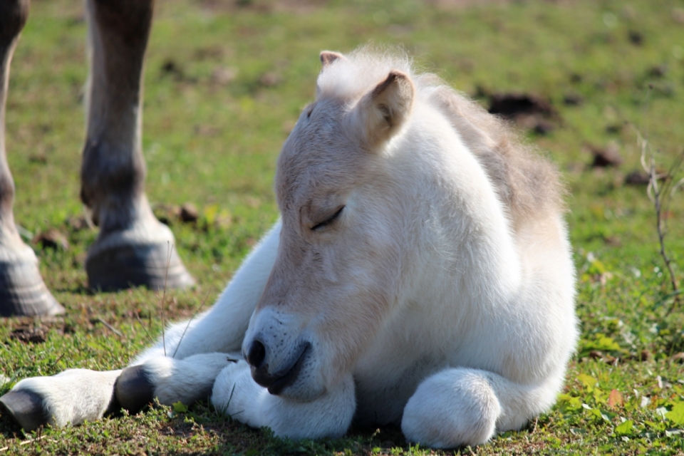 4259643b-2000x1000-1-171cc79b-img-3768.jpeg