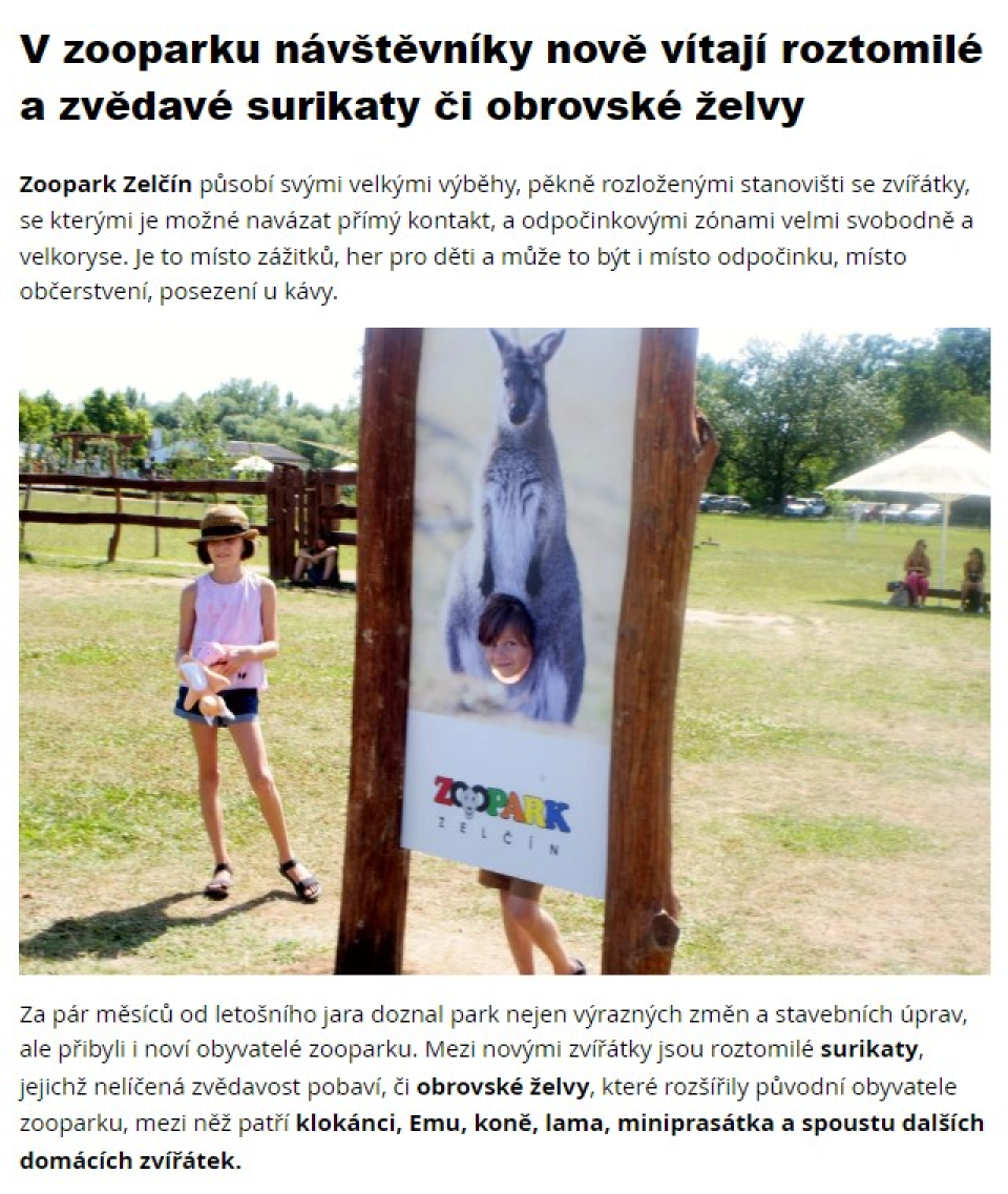 87c54431-snimek-obrazovky-2022-08-01-143249.jpeg